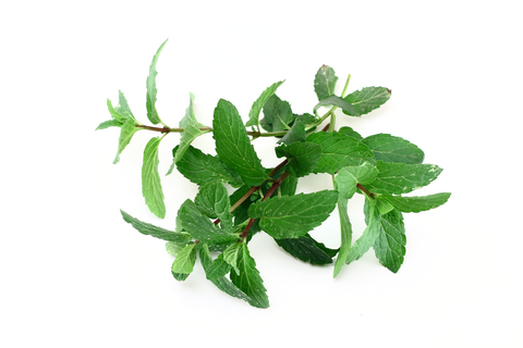 peppermint-for-bones-and-joints