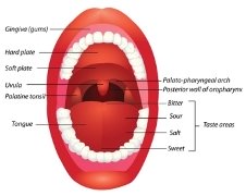 Tonsillitis - Natural Help, Natural Remedies